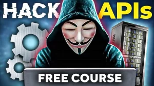 Free API Hacking course!