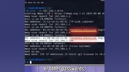 Louvre’s Password Was WHAT?