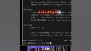 Learn Linux in 180s – cat vs more