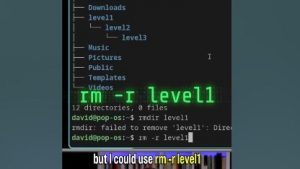 Linux Directories in 180s